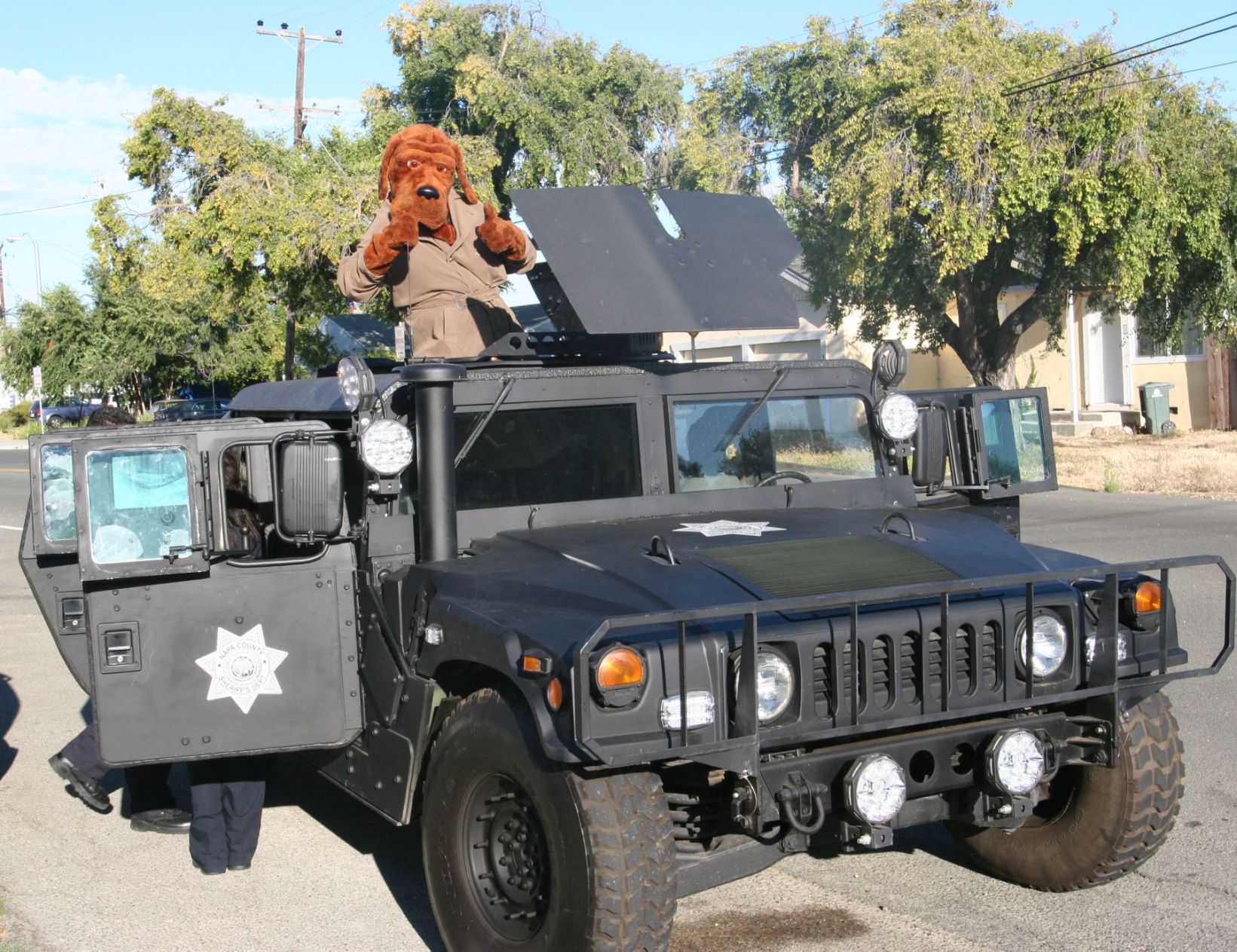 McGruff the Crime Dog in American Canyon